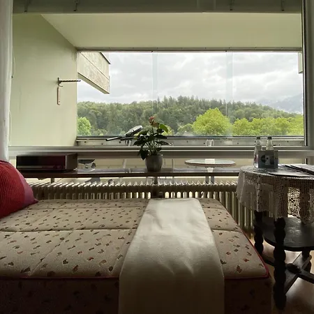 Apartment Am Muenster Mit Alpenweitblick Bad Reichenhall